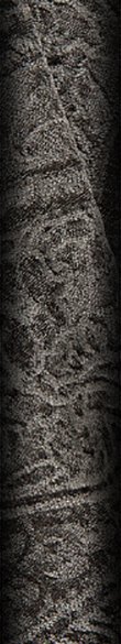 Shennil_1